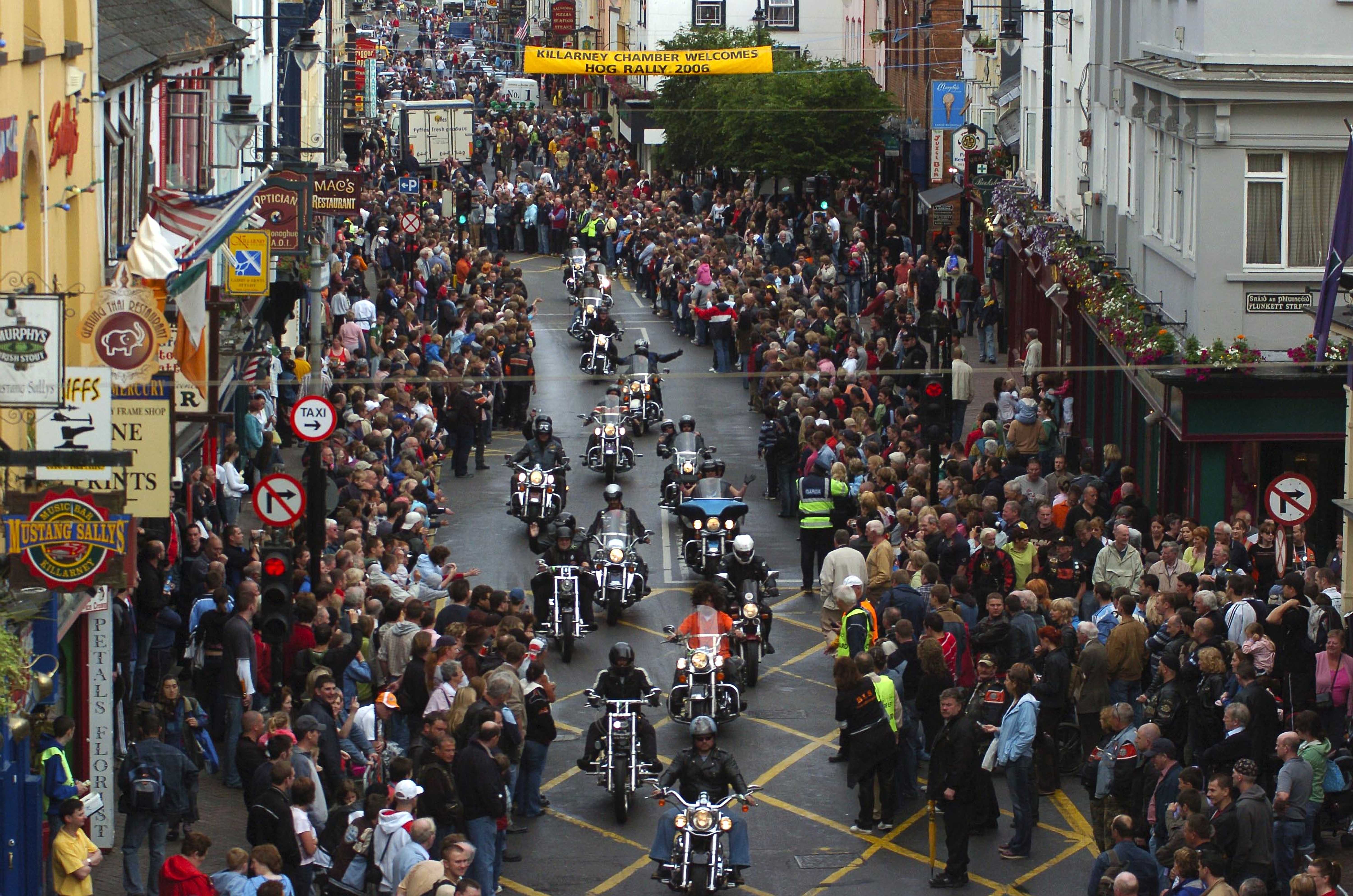 Festival Activities